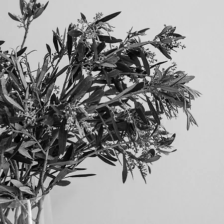 Sea View Casa Apartamento *