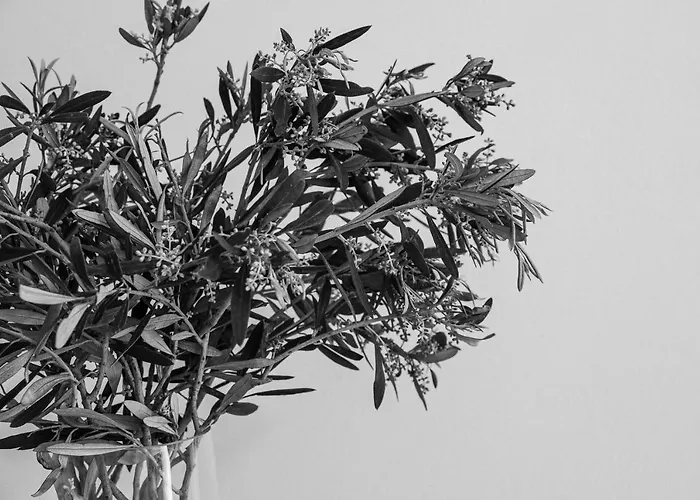 Sea View Casa Apartamento *